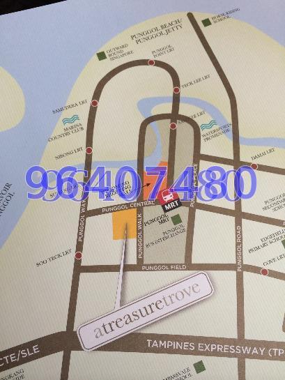 A Treasure Trove (D19), Condominium #68504572